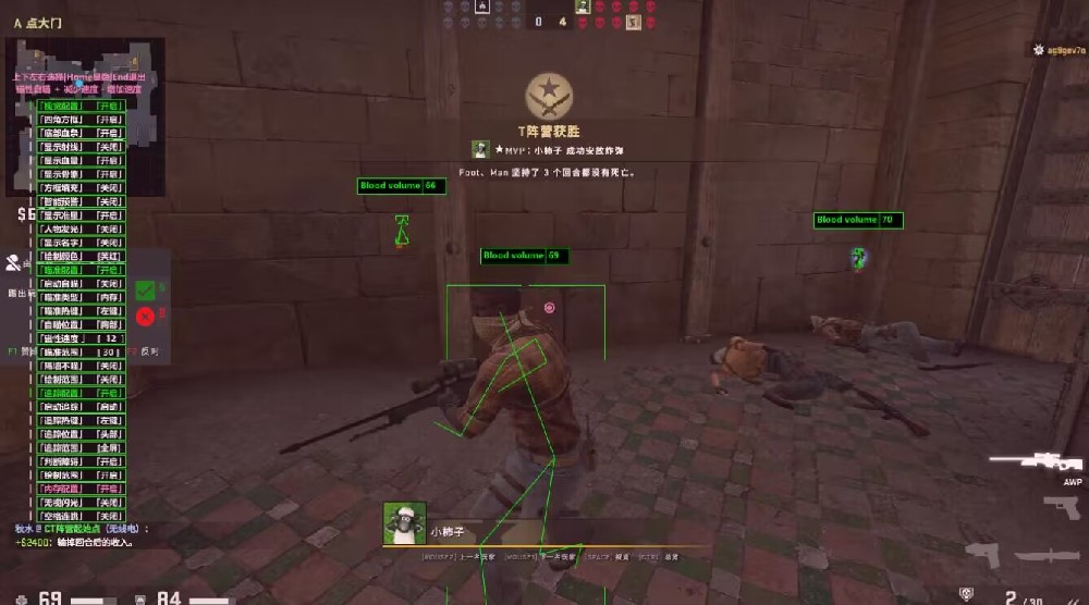 CSGO透视自瞄 - [ 绿色 ]